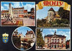 Carte Postale 60. Mouy  Trés Beau Plan - Mouy