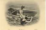 Un Sauvetage Nos Jolies Baigneuses - Nuoto