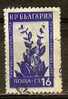 BULGARIA 1953 Flowers - 16s Great Yellow Gentian  FU - Usados