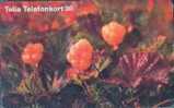 # SWEDEN 60111-353 Ripe 30 Orga 07.98 -fleurs,flowers- Tres Bon Etat - Suède