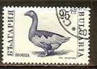 BULGARIA 1991 Farm Animals - 25s Goose FU - Oblitérés
