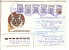 GOOD RUSSIA Postal Cover 2005 - Cat - Good Stamped - Cartas & Documentos