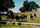 CRAON Hippodrome Passage Du Casse-cou - Hippisme