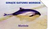 DOLPHIN ( Poland Rare Card ) Dauphin Delfin Delphin Delfino Golfinho Dolfijn Dolphins Dauphins Dauphine Delfines Fauna - Delfines
