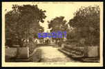 Paris -  Hôpital Militaire Villemin  - Le Jardin - Allée Centrale -  Réf:10316 - Salud, Hospitales