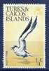 Turks And Caicos Is 1973 Birds Oiseaux  Aves Aquatic Water Birds  Sooty Tern Sterna Fuscata MNH - Marine Web-footed Birds