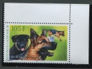 Neukaledonien 2003 - Nouvelle Caledonie 2003 - Michel 1314 - ** Mnh Neuf Postfris -  Schäferhund - Chien De Berger - Unused Stamps