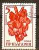 BULGARIA 1985 Flowers - 5s Gladiolus FU - Usati