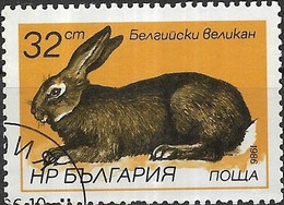 BULGARIA 1986 Rabbits - 32s. Belgian FU - Used Stamps