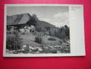 CPA OU CPSM ALLEMAGNE -SCHWARZWALD HAUS -PHOTO RECTO/VERSO-NON VOYAGEE-CARTE EN  BON ETAT - Gutach (Schwarzwaldbahn)