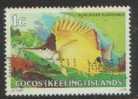 1979 - Cocos (keeling) Islands Fishes 1c FORCEPS FISH Stamp FU - Cocos (Keeling) Islands