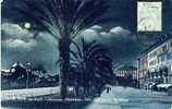 NICE : "La Nuit - Avenue Massena - Les Nouveaux Jardins" - Nice La Nuit