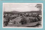 HINTERZARTEN  -  Schwarzwald  900 M  O. M.  -1953  -  CARTE PHOTO  - ( Timbre Enlevé ) - Hinterzarten