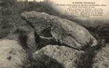 SAINT CYR LA ROSIERE (28) Dolmen Pierre Druidique Nécropole Préhistorique - Autres & Non Classés