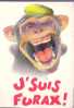 Animaux - Singe - J'suis Furax ! - Monkeys
