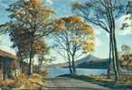 Autumn Hues At Loch Rannoch - Schiehallion In The Distance - Perthshire