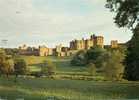 Alnwick - Alnwick Castle From The Pastures Across The River Aln - Autres & Non Classés