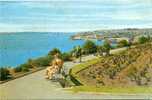 Milford Haven - View From The Rath - Pembrokeshire