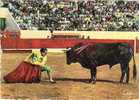 CORRIDA - Un "adorno" De APARICIO  (18825) - Stiere