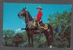 Canada Police RCMP   Royal Canadian Mounted - Gendarmerie, Benjamin News Company Montreal - Polizei - Gendarmerie