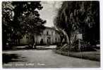 TERAMO, GIARDINI PUBBLICI, IL MUSEO, B/N, VG 1957   **** - Teramo