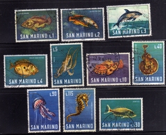 REPUBBLICA DI SAN MARINO 1966 SEA FAUNA MARINA PESCI FISHES SERIE COMPLETA COMPLETE SET USATA USED OBLITERE' - Gebruikt