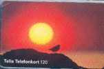 # SWEDEN 60114-43 Sunset 120 Orga 05.98  Tres Bon Etat -birds,oiseaux- - Svezia