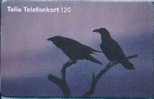 # SWEDEN 60114-30 Birds 120 So3 11.96  Tres Bon Etat  -birds,oiseaux- - Suecia