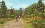 Britain United Kingdom - Town Gardens, Swindon - Old Postcard [P1790] - Other & Unclassified