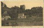 Beaumont : La Tour Salamandre Et Le Vieux Moulin ( Molen ) - Beaumont