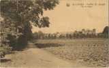 La Louvière : Institut St. Joseph : Vue Du Potager - La Louvière