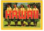 Hawaii - Bikini Girl`s - Femme - Sonstige & Ohne Zuordnung