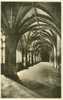 Britain United Kingdom - Worcester Cathedral, The Cloisters - Old Real Photo Postcard [P1820] - Other & Unclassified