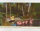 Cp , ETATS-UNIS , ST. PETERSBURG , Flamingos In Beautiful Sunken Gardens - St Petersburg