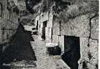 Postal  ORVIETO (Temi) Umbria.  Necropolis Etrusca. Arqueologia - Terni