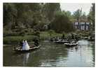 * MARAIS POITEVIN Le Mariage - Pays De La Loire