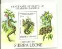 DARWIN SIERRA LEONA - Snakes