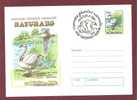 Bird Cygnus Olor. ROMANIA Postal Stationery Cover 1999 - Cisnes