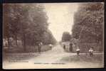 CPA  ANCIENNE- FRANCE- ARTENAY (45)- RUE DES ECOLES AVEC BELLE ANIMATION- FILLETTES JUMELLES ?... - Artenay