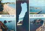 CPM - 29 - Presqu'île De CROZON (Ed. D'Art Jos, N° MX 2349) - Crozon
