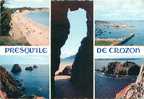 CPM - 29 - Presqu'île De CROZON (Ed. D'Art Jos, N° MX 2349) - Crozon