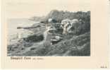 Steephill Cove, Isle Of Wight On 1900s Vintage Postcard, Fishing Village Boats - Other & Unclassified