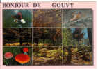 Bonjour De GOUVY - Gouvy