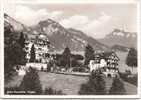 Hotel Alpenblick - WEGGIS - Weggis