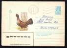 BV3345  ROOSTER,Blackcock; Capercaillie,Grouse,1982, COVER STATIONERY RUSSIA SENT TO ROMANIA.(D) - Gallinacées & Faisans