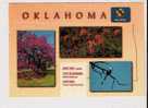 State Tree Redbud, Wildflower Indian Paintbrush, Bird Scissor-Tailed Flycatcher, Oklahoma - Sonstige & Ohne Zuordnung