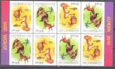 2010. Azerbaijan, Europa 2010, Booklet -folder,  Mint/** - Azerbaijan