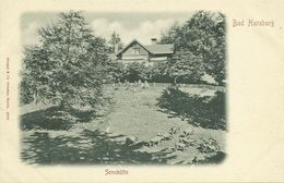 AK Bad Harzburg Sennhütte Kuhherde ~1900 #07 - Bad Harzburg