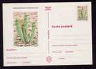 ROMANIA 1997 Entier Postaux Stationery POSTCARD,with Cactusses,cactus.(A) - Cactus