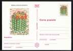 ROMANIA 1997 Entier Postaux Stationery POSTCARD,with Cactusses,cactus.(D) - Cactus